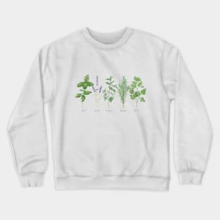 Culinary herbs painting Crewneck Sweatshirt